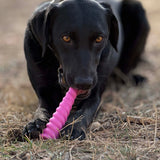 Unicorn Horn Nylon Dog Chew Toy | Durable for Aggressive Chewers | SodaPup - SodaPup/True Dogs, LLC - Flyclothing LLC