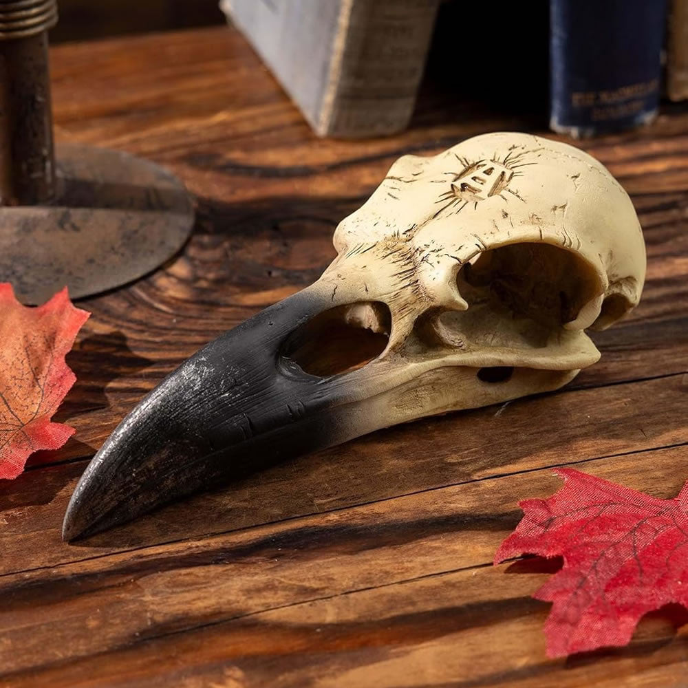Corvus Alchemia Skull - Alchemy of England - Flyclothing LLC