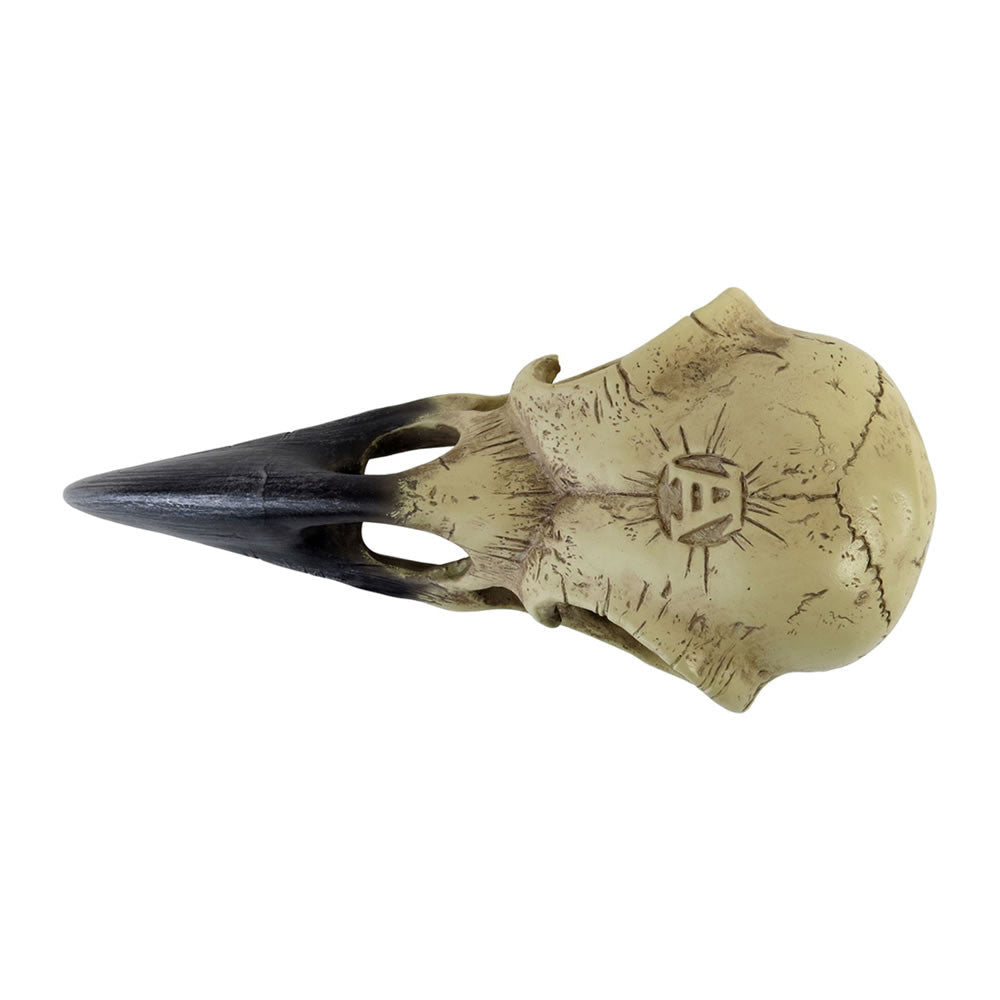 Corvus Alchemia Skull - Alchemy of England - Flyclothing LLC