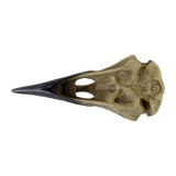 Corvus Alchemia Skull - Alchemy of England - Flyclothing LLC
