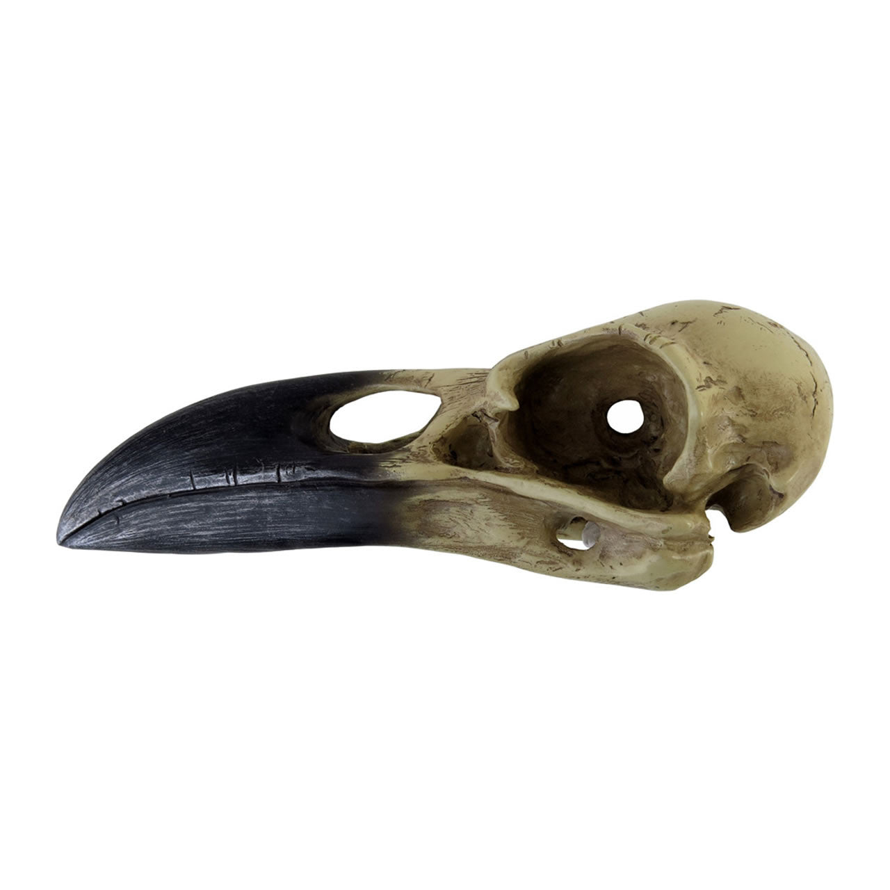 Corvus Alchemia Skull - Alchemy of England - Flyclothing LLC