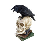 Poe's Raven Skull - Alchemy of England - Flyclothing LLC