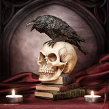Poe's Raven Skull - Alchemy of England - Flyclothing LLC