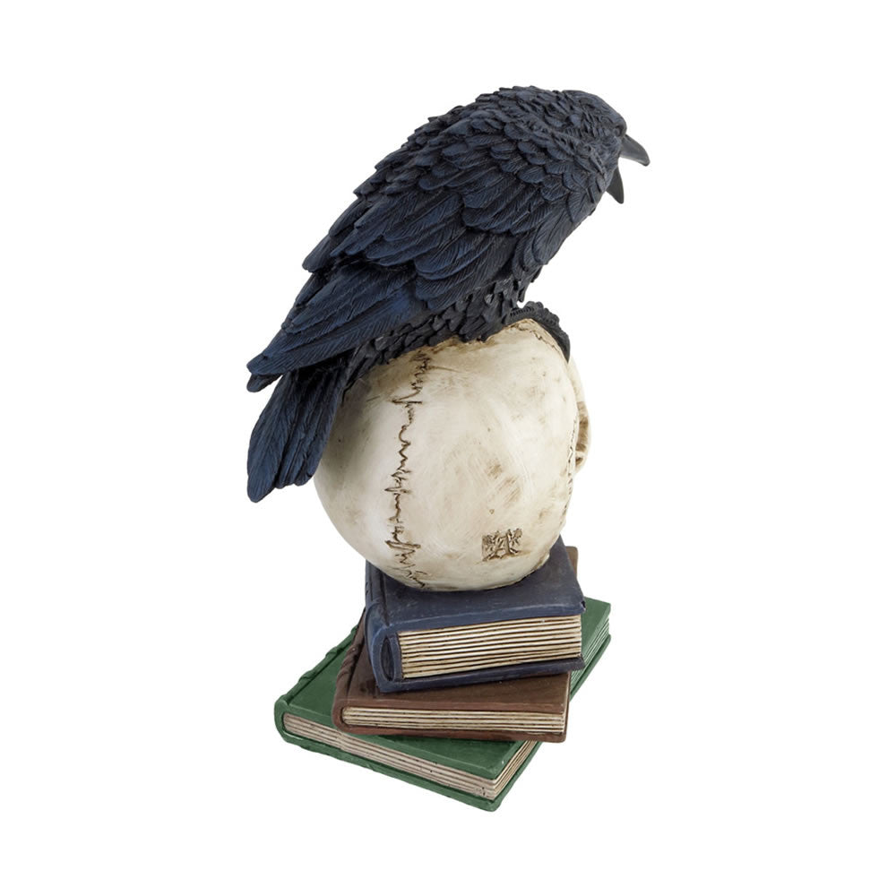 Poe's Raven Skull - Alchemy of England - Flyclothing LLC
