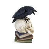 Poe's Raven Skull - Alchemy of England - Flyclothing LLC