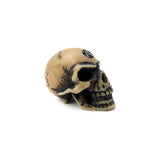 Lapillus Worry Skull - Alchemy of England - Flyclothing LLC