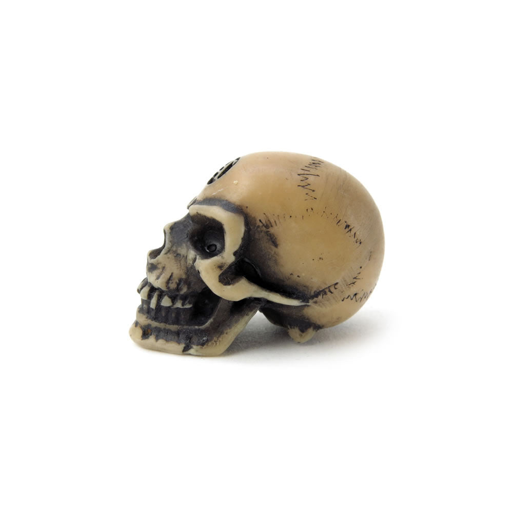 Lapillus Worry Skull - Alchemy of England - Flyclothing LLC
