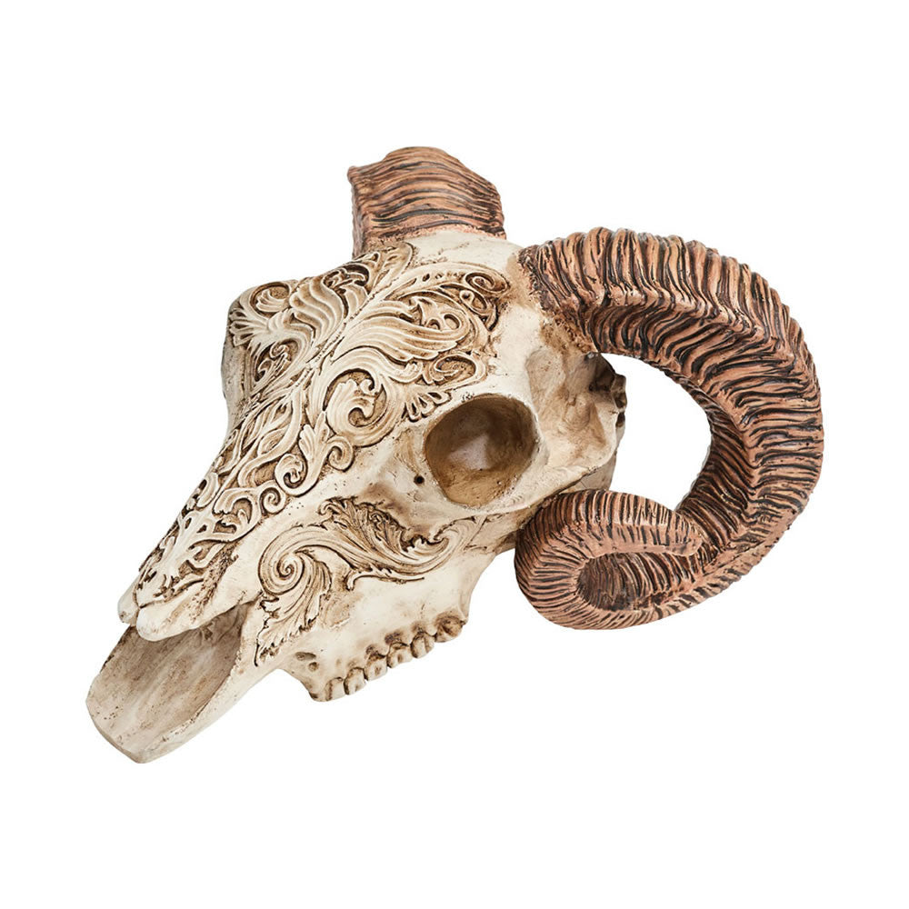 Scrimshaw Ram Skull - Alchemy of England - Flyclothing LLC