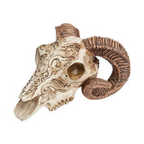 Scrimshaw Ram Skull - Alchemy of England - Flyclothing LLC