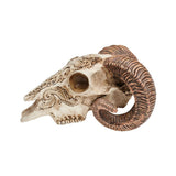 Scrimshaw Ram Skull - Alchemy of England - Flyclothing LLC