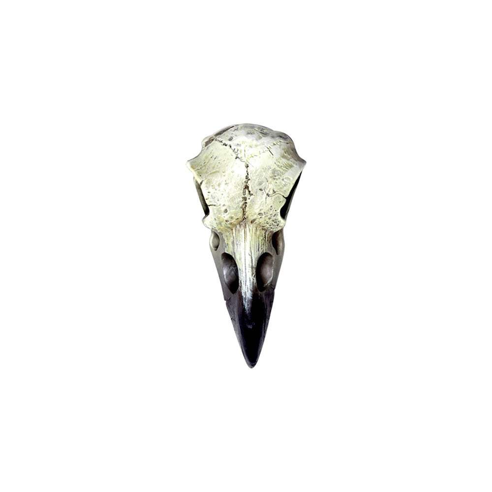Reliquary Raven Skull - Alchemy of England - Flyclothing LLC