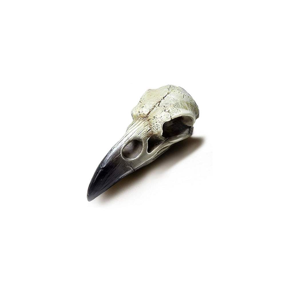 Reliquary Raven Skull - Alchemy of England - Flyclothing LLC