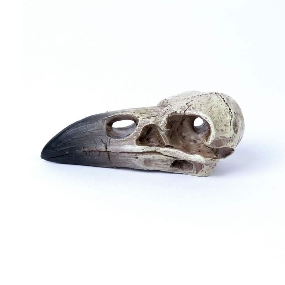 Reliquary Raven Skull - Alchemy of England - Flyclothing LLC