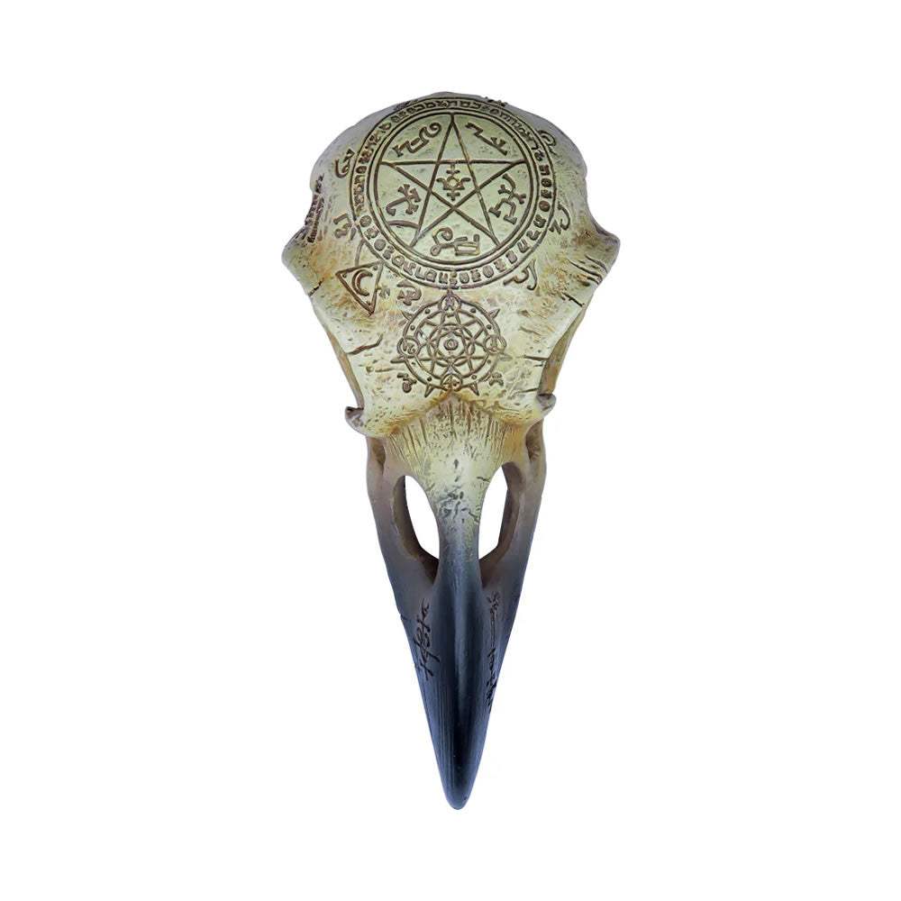 Omega Raven Skull - Alchemy of England - Flyclothing LLC
