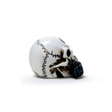 Alchemist Skull Miniature - Alchemy of England - Flyclothing LLC
