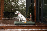 Chester & Lee | Waterproof Lounger Dog Bed Green - Chester & Lee - Flyclothing LLC