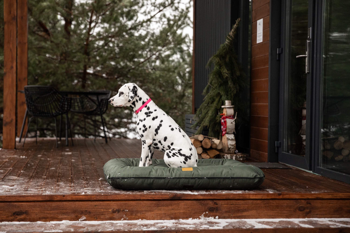 Chester & Lee | Waterproof Lounger Dog Bed Green - Chester & Lee - Flyclothing LLC