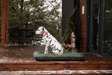 Chester & Lee | Waterproof Lounger Dog Bed Green - Chester & Lee - Flyclothing LLC