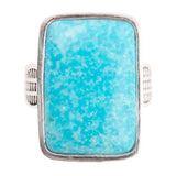 Zion Blue Turquoise and Sterling Silver Ring - Barse Jewelry - Flyclothing LLC