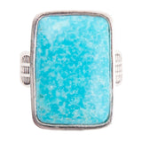 Zion Blue Turquoise and Sterling Silver Ring - Barse Jewelry