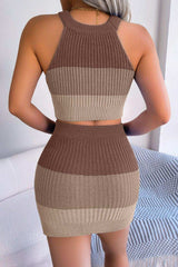 Color Block Sleeveless Crop Knit Top and Skirt Set - Trendsi - Flyclothing LLC