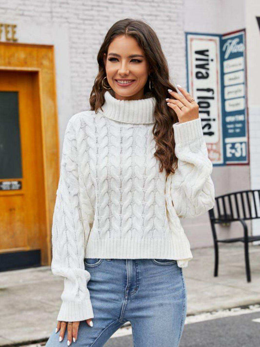 Turtle Neck Cable-Knit Sweater - Trendsi - Flyclothing LLC