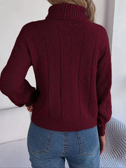 Cable-Knit Turtleneck Sweater - Trendsi