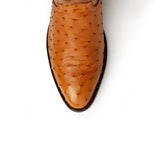 Ferrini USA Colt - Men's Full Quill Ostrich Men's Boots - Ferrini USA