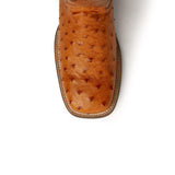 Ferrini USA Colt - Men's Full Quill Ostrich Men's Boots - Ferrini USA - Flyclothing LLC