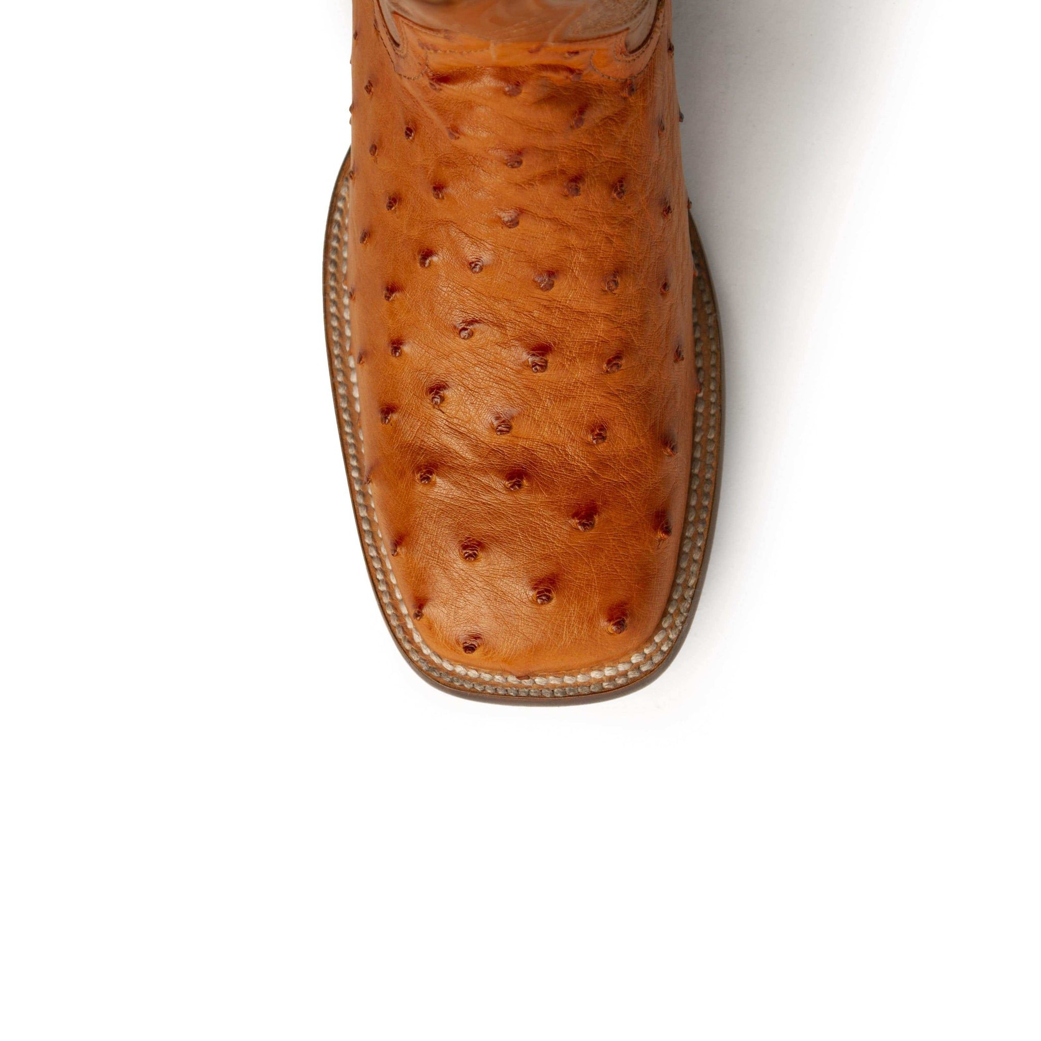 Ferrini USA Colt - Men's Full Quill Ostrich Men's Boots - Ferrini USA - Flyclothing LLC