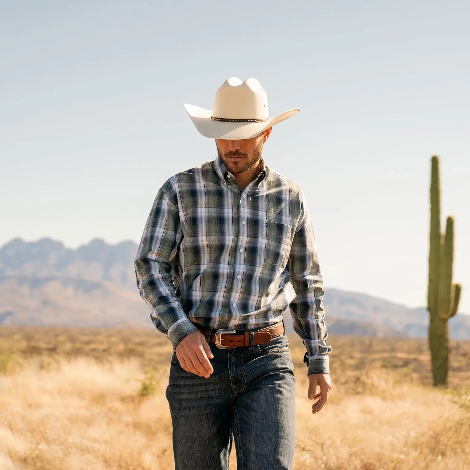 Stetson Lucky Diamond Plaid Button Front Shirt - Stetson - Flyclothing LLC