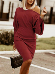 Round Neck Lantern Sleeve Dress - Trendsi