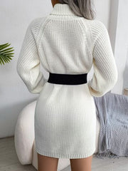 Decorative Button Turtleneck Sweater Dress - Trendsi
