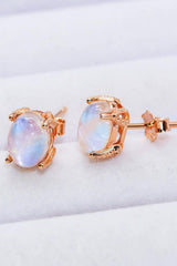 Natural Moonstone 4-Prong Stud Earrings - Trendsi