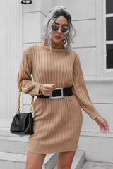 Ribbed Turtle Neck Long Sleeve Mini Sweater Dress - Trendsi