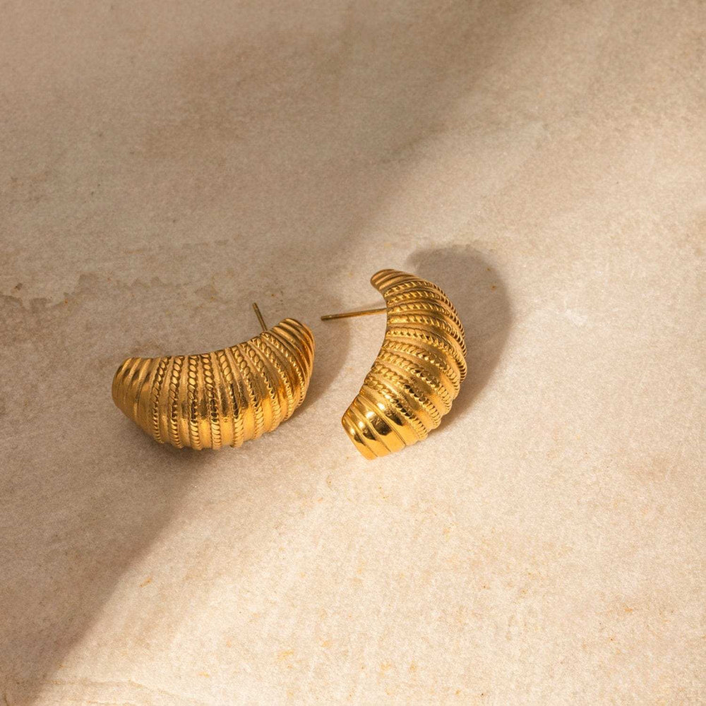 18K Gold-Plated Stainless Steel Earrings - Trendsi - Flyclothing LLC