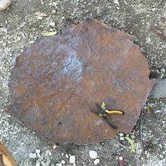 Cardinal on Branch, Painted Haitian Steel Drum Wall Art - Haitian Artisans