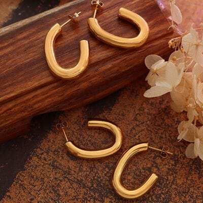 Titanium Steel Gold-Plated Earrings - Trendsi - Flyclothing LLC