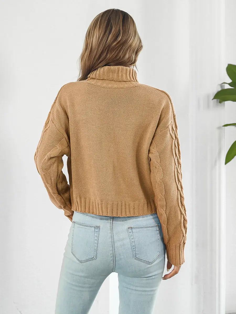 Turtleneck Dropped Shoulder Sweater - Trendsi - Flyclothing LLC