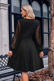 Surplice Neck Swiss Dot Long Sleeve Dress - Trendsi - Flyclothing LLC