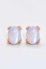 Natural Moonstone 4-Prong Stud Earrings - Trendsi