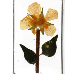 Pressed Yellow Flower Rectangle Dangle Earrings - Artisana