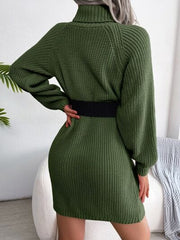 Decorative Button Turtleneck Sweater Dress - Trendsi
