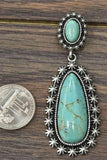Artificial Turquoise Earrings - Trendsi