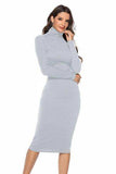 Ribbed Turtleneck Long Sleeve Dress - Trendsi - Flyclothing LLC