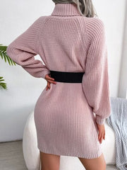 Decorative Button Turtleneck Sweater Dress - Trendsi