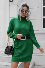 Ribbed Turtle Neck Long Sleeve Mini Sweater Dress - Trendsi