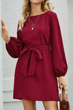 Tied Boat Neck Balloon Sleeve Mini Dress - Trendsi - Flyclothing LLC