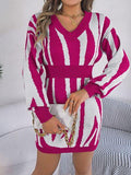 Animal Print V-Neck Long Sleeve Sweater Dress - Trendsi