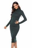 Ribbed Turtleneck Long Sleeve Dress - Trendsi - Flyclothing LLC